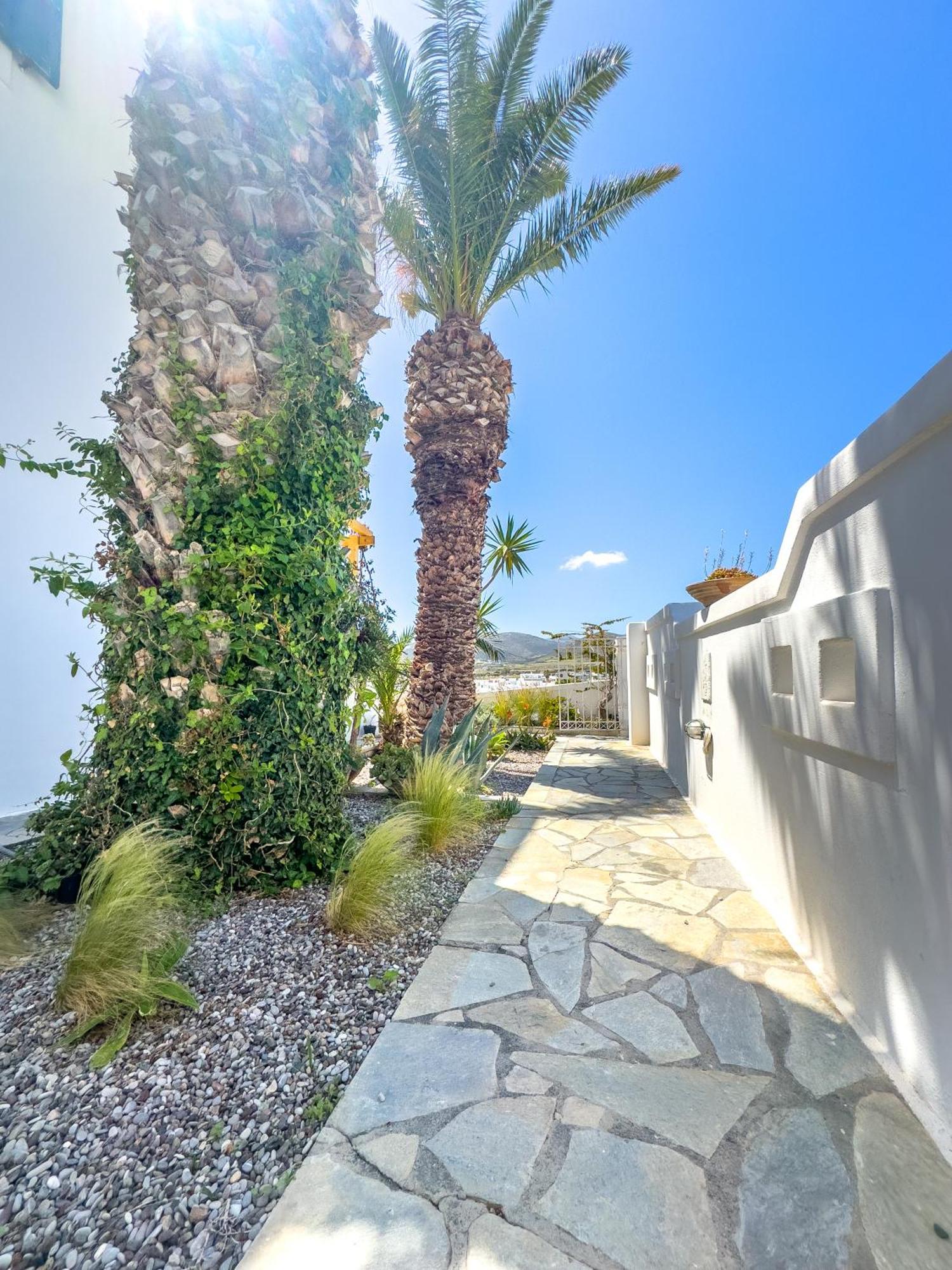 Kefalas Studio In Naousa ภายนอก รูปภาพ