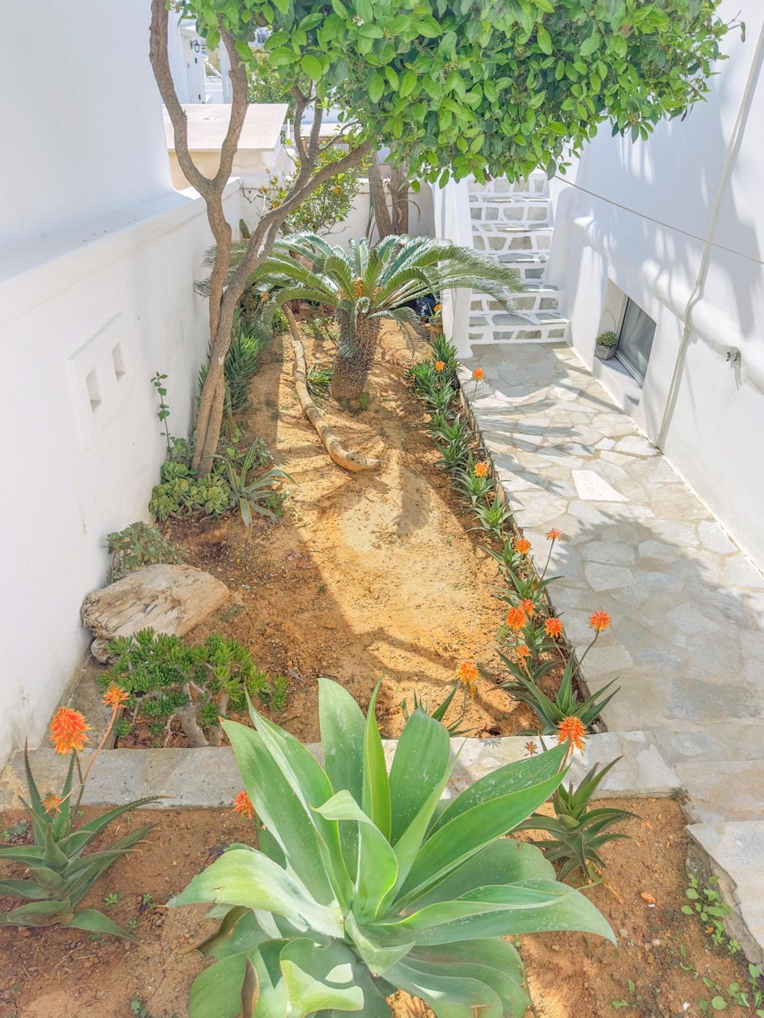 Kefalas Studio In Naousa ภายนอก รูปภาพ